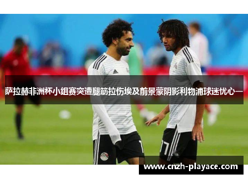 萨拉赫非洲杯小组赛突遭腿筋拉伤埃及前景蒙阴影利物浦球迷忧心一